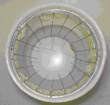 Needle diaphragm of the solid phase separator with the Coanda effect (photo Z.