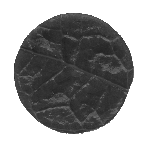 Segmentation of leaf discs acquired images with