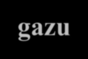 gazogeneratora; 3) stały nośnik ciepła; 4) para