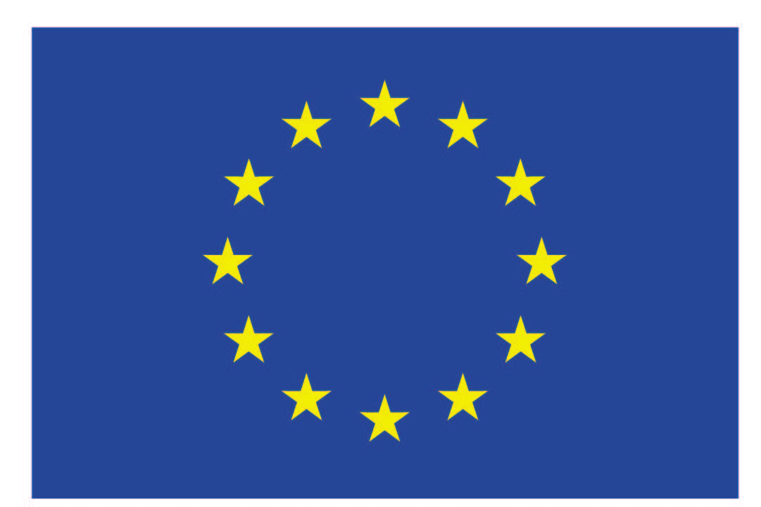 A. INFORMACJE OGÓLNE Przed wypełnieniem niniejszego formularza wniosku, należy zapoznać się z "Zaproszeniem do składania wniosków 2013" opublikowanym przez Komisję Europejską oraz przez Narodową