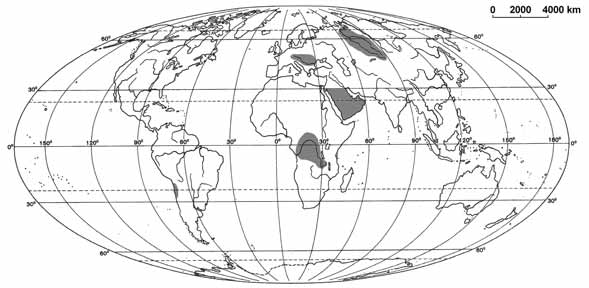 8 Egzamin maturalny z geografii Zadanie 14. (2 pkt) Na wykresie przedstawiono średni rozkład południkowy parowania potencjalnego i opadów atmosferycznych na obszarach lądowych Ziemi. Na podstawie: R.