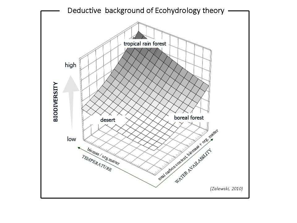 The deductive background of ecohydrological theory that the