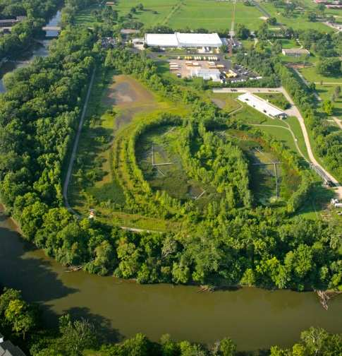 Bełchatów Mine Constructed ecosystems in