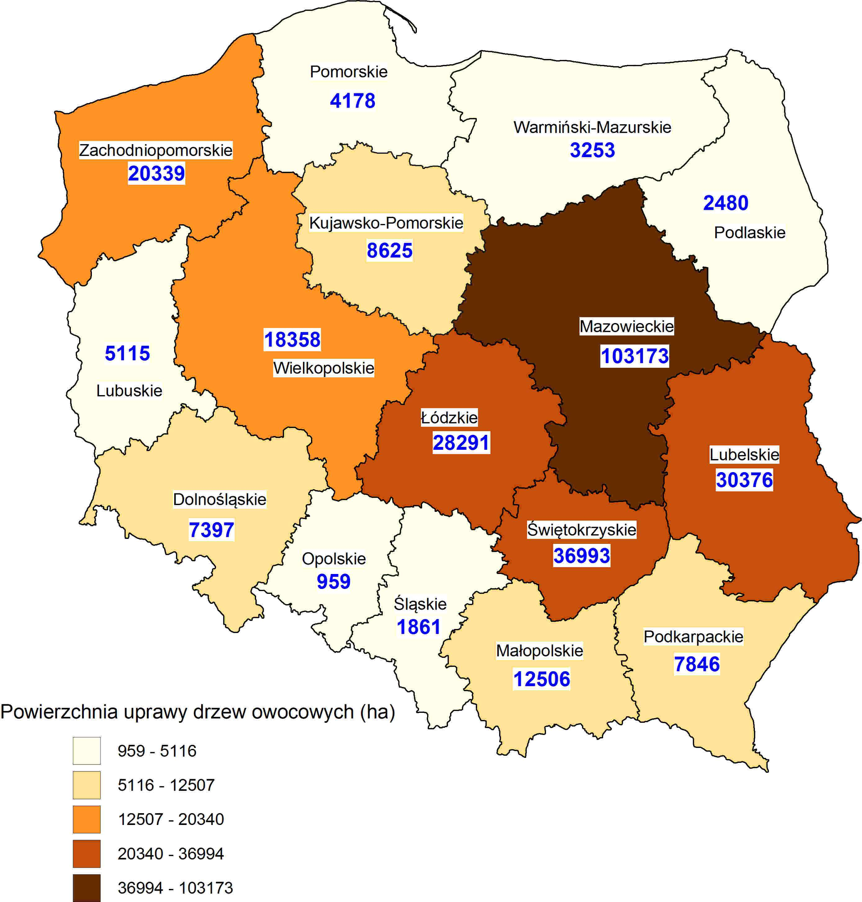 Powierzchnia uprawy drzew owocowych POLSKA 291,8 tys.