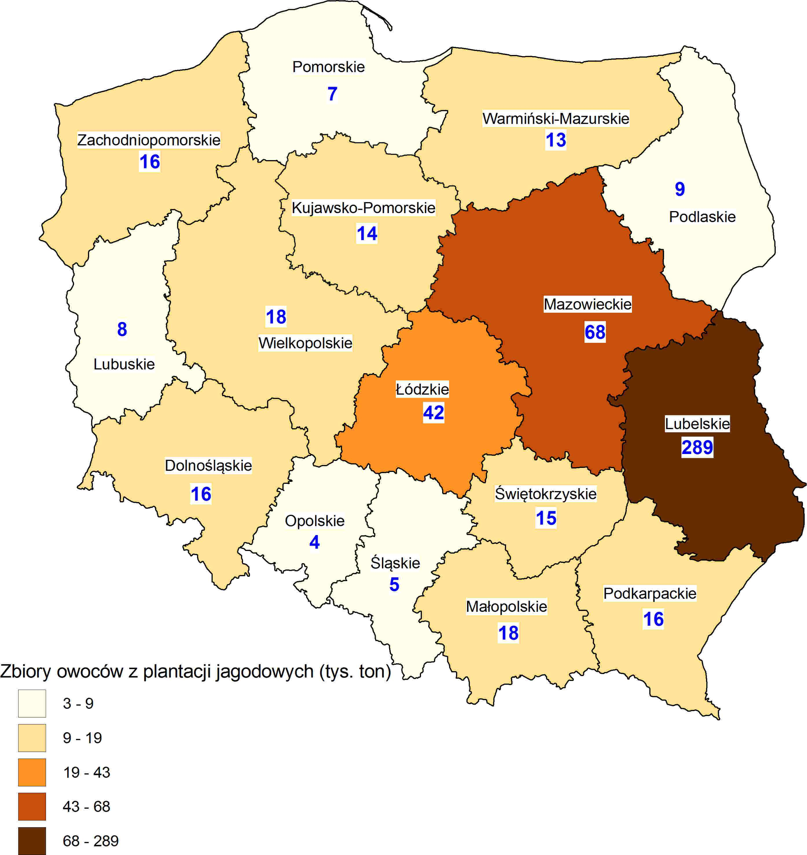 Zbiory z plantacji jagodowych POLSKA 557 tys.