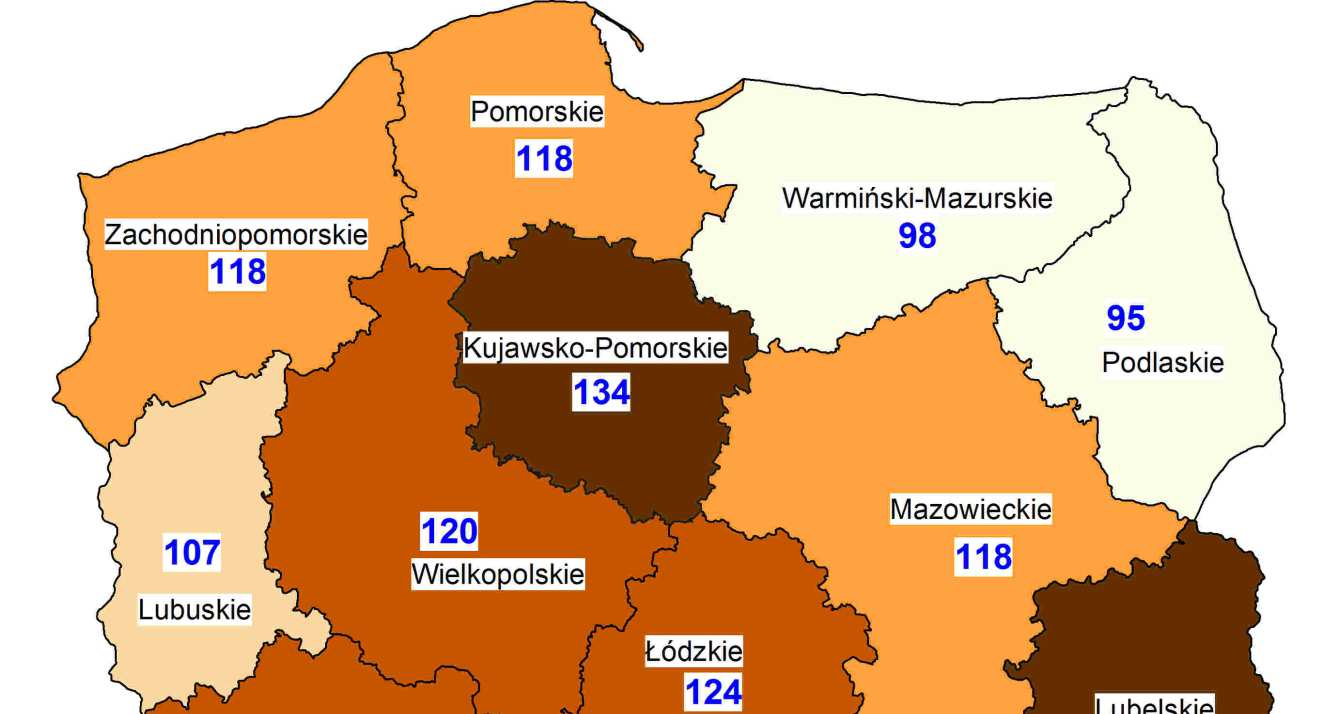 Intensywność organizacji