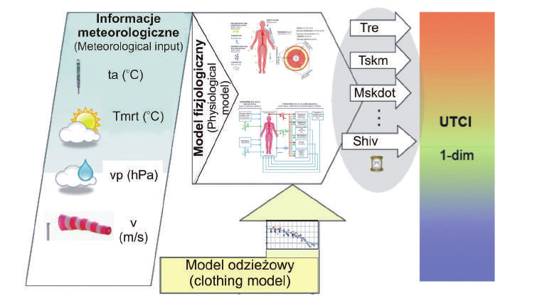 UTCI nowe narzędzie badania warunków bioklimatycznych 11 Rys. 4.