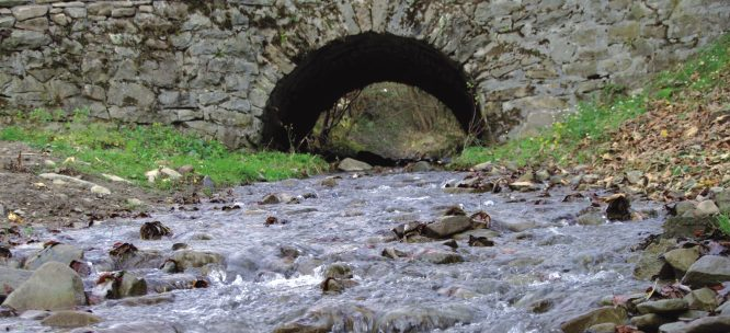 Projekt ma na celu przywrócenie naturalnego charakteru największej polskiej rzeki przepływającej przez całe terytorium kraju od południa do północy Wisły i jej dopływów.