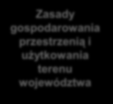 Wizja, wyzwania i zasady