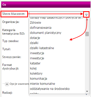 Pola słownikowe - oznaczone symbolem pola listy wyrazów. - uzupełniane są ze pomocą dołączonej do Wybieranie wartości ze słownika: Możliwe jest wybranie wielu wyrazów w jednym polu.