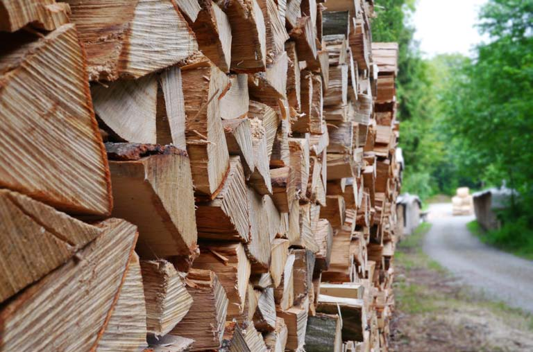 bioróżnorodność Obecnie dużym problemem środowiskowym na ziemi jest zmniejszanie się powierzchni lasów. Zjawisko to powoduje groźne następstwa.