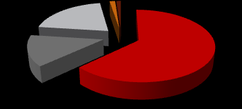 W minionym roku Śnieżka odnotowała znaczny wzrost sprzedaży eksportowej na rynku rosyjskim (o 39% r/r) oraz mołdawskim (o 16% r/r). Szacowana wielkość rynku rosyjskiego w 2010 r. wynosiła 1 098 tys.