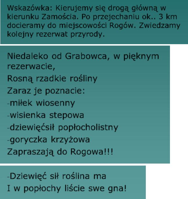 Do snu ma wielki zapał, ledwie jesień zawita, a on w norce chrapał