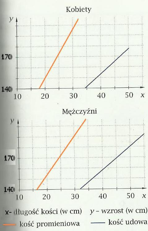 się zależność między długością kości a jego