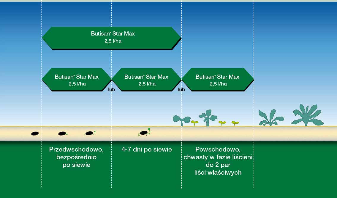 Skuteczny Elastyczny Bezpieczny Elastyczny Termin stosowania: bezpośrednio po siewie rzepaku, na starannie uprawioną glebę (bez grud) wcześnie powschodowo, 4-7 dni po siewie powschodowo, gdy rośliny