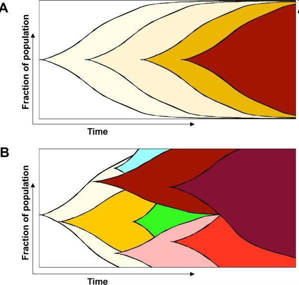 Źródła heterogenności komórek nowotworowych Biochim Biophys Acta.