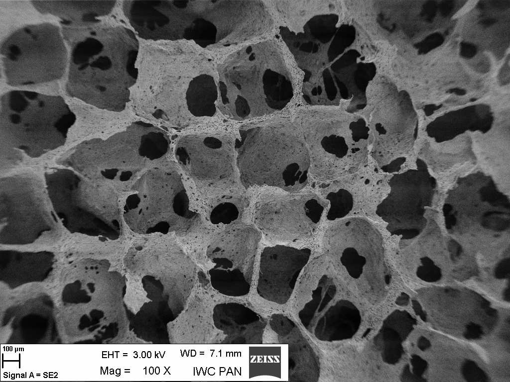 290 a) b) Rys. 1. Obrazy SEM powierzchni przekrojów poliuretanowych podłoŝy nr 1 (a) i nr 5 (b) Fig. 1. SEM image of surface cross section of composite scaffolds nr 1 (a) i nr 5 (b) a) b) Rys. 2.