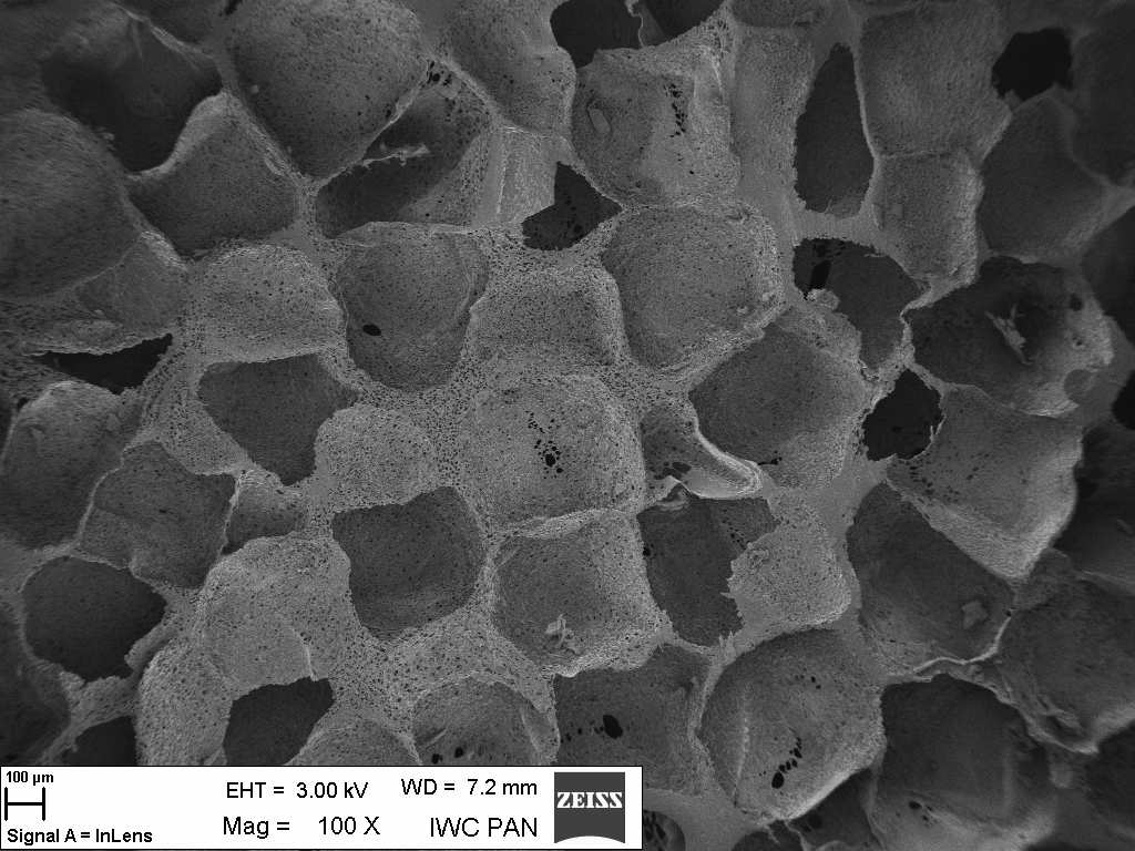 SEM image of scaffolds nr 1 (a) and nr 5 (b) after 12 week exposition in SBF Obrazy SEM wytworzonych podłoŝy wskazują, Ŝe uzyskano struktury zbudowane z makroporów o rozmiarach od 100 do 300µm