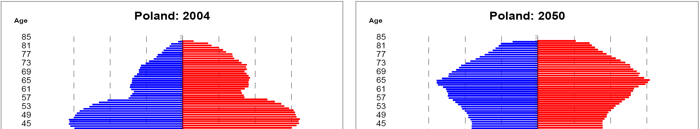 W nadchodzących cych dekadach struktura wiekowa populacji w Polsce ulegnie drastycznym zmianom