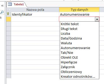 Podaj atrybuty tabeli oraz wybierz typ