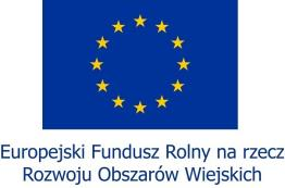 INFORMACJE DOTYCZĄCE WYBORU PRZEZ LOKALNĄ GRUPĘ DZIAŁANIA (LGD) OPERACJI DO DOFINANSOWANIA (WYPEŁNIA LGD) 1.