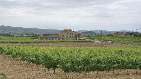 Winnica grimau de pujades Hiszpania penedes grimau de pujades s.a. 19 Pujades Castle, w którym mieści się winnica, jest jednym z najstarszych gospodarstw rolnych powiatu. W X w.