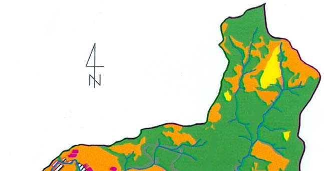 44 A. KOWALCZYK et al. rock mantle of flysch complex. The rendzina soils occur here and there on carbonated stratum and they have not infrequently initial character.