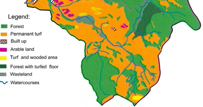 Marshy soils are filling different places among brown loamy soils, medium, heavy clayish. The soils at the initial stage of profile development constitute about 8% of the area.