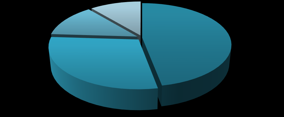 Aktualną strukturę akcjonariatu Emitenta prezentuje poniższy diagram: 13% 29% 11% 47