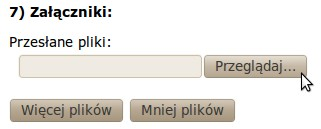 W pzypadku, gdy dane zamówienie może wykonać tylko jeden podmiot należy zaznaczyć pod tabelą pole Jedyny wykonawca. W przeciwnym wypadku trzeba wpisać przynajmniej dwa podmioty.