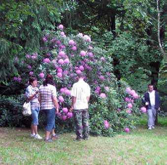 verejnej zeleni 12 Jubilujúce Arborétum Borová hora 12 Seminár Chodníky pre telesne postihnutých ľudí na vozíku v krajinách V4 13 Záujem o Dni rododendronov v Arboréte Borová hora narastá 13 Krása