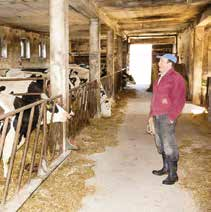 W 2010 roku hodowca zakupił pierwsze zwierzęta hodowlane i rozpoczął współpracę z Polską Federacją Hodowców Bydła i Producentów Mleka, poddając