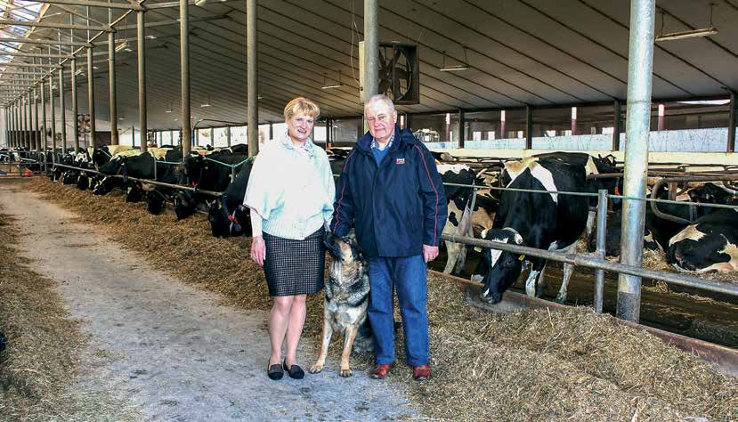 MLECZNA GALA 2015 KATEGORIA STAD LICZĄCYCH PRZECIĘTNIE OD 300,1 DO 500 SZTUK KRÓW MLECZNYCH I MIEJSCE WYDAJNOŚĆ 12 579 KG MLEKA GOSPODARSTWO ROLNE JANUSZ PRZYDROŻNY ZAMYSŁÓW, WOJEWÓDZTWO LUBUSKIE