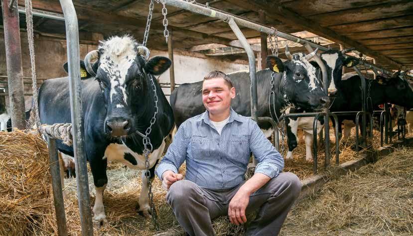 MLECZNA GALA 2015 KATEGORIA HODOWCY BYDŁA RAS ZACHOWAWCZYCH I MIEJSCE WYDAJNOŚĆ 6290 KG MLEKA RASA BIAŁOGRZBIETA GOSPODARSTWO ROLNE