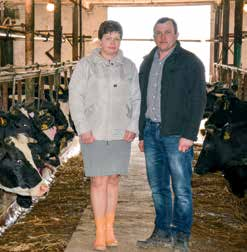Obecnie utrzymywane jest w nim ponad 100 sztuk bydła, w tym 40 krów ras mlecznych polskiej czarno-białej i simentalskiej.