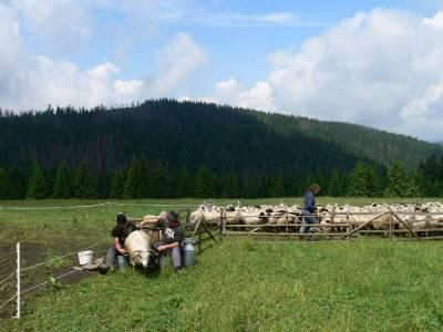 Rekomendacje do zarządzania obszarem Natura 2000 1.