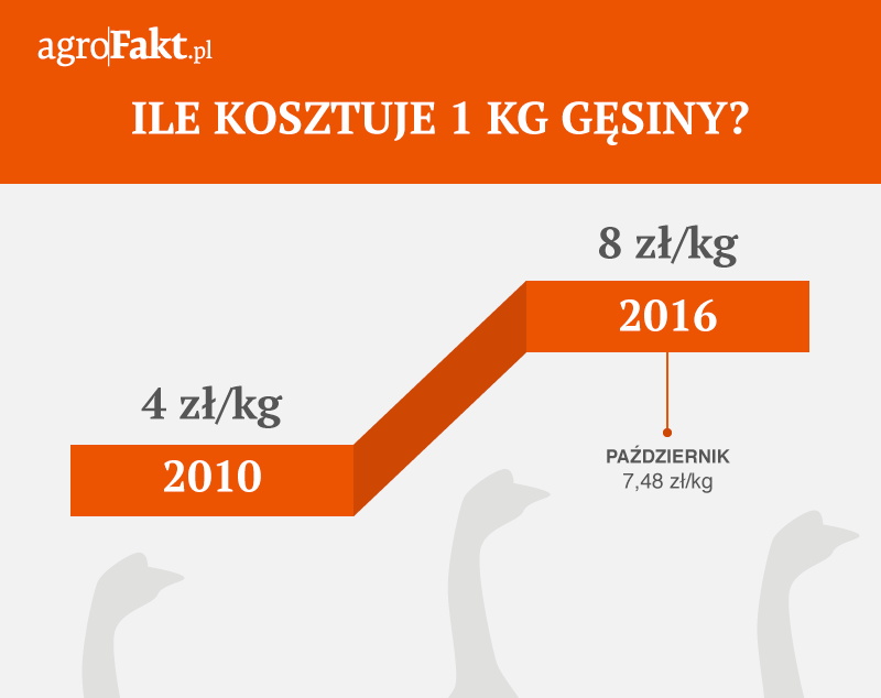 Ile obecnie kosztuje 1 kg gęsiny? Obecnie spożycie gęsiny na jednego mieszkańca szacuje się na 200 300 g rocznie.