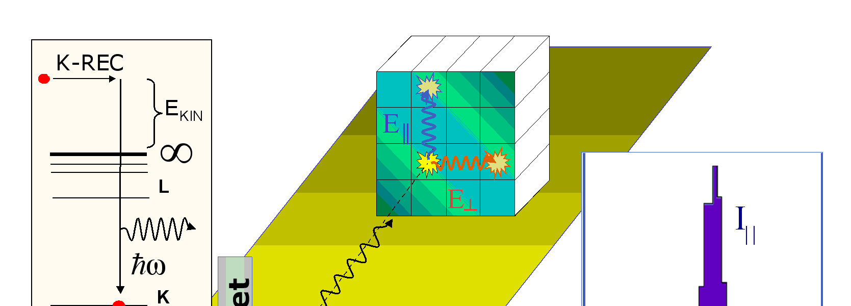 Pomiar polaryzacji promieniowania rentgenowskiego emitowanego w relatywistycznych zderzeniach ciężkich jonów z atomami D.