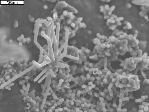 html Badania Główne kierunki badań związane są z (i) syntezą nanomateriałów nieorganicznych i węglowych oraz ich kompozytów dla nowoczesnych zastosowań (efektywne emitery światła, elektronika) oraz