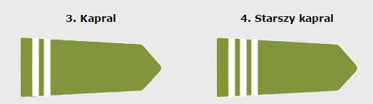 fizyczną; średnią ocen na świadectwie ukończenia gimnazjum; aktywność sportową; predyspozycje przywódcze. 2. Dowódca i jego zastępca otrzymuje stopień starszego szeregowego. 3.