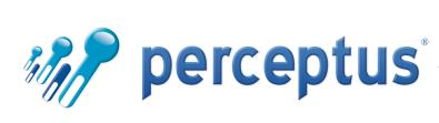 Perceptus IT Security