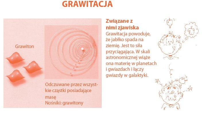 Nie znamy kwantowej teorii grawitacji Oddziaływania 1 Stała