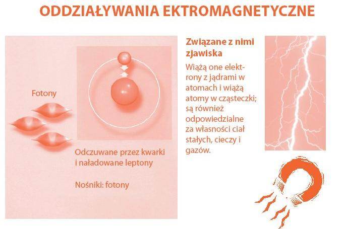 Oddziaływania 2 J.