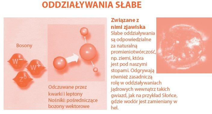 Oddziaływania 3 W MS oddziaływania