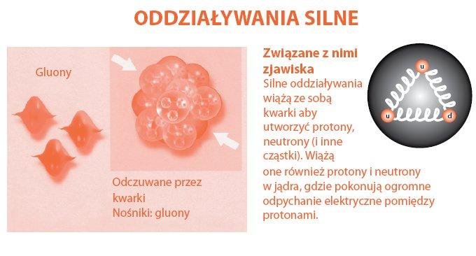 Oddziaływania 4 Kwarki są uwięzione w hadronach MS: