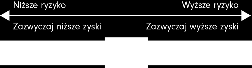 Zarz dzaj cy portfelem staraj si kreowa warto poprzez elastyczn alokacj aktywów dostosowan do zmieniaj cych si warunków rynkowych oraz posiadanie odpowiednich instrumentów bazowych.