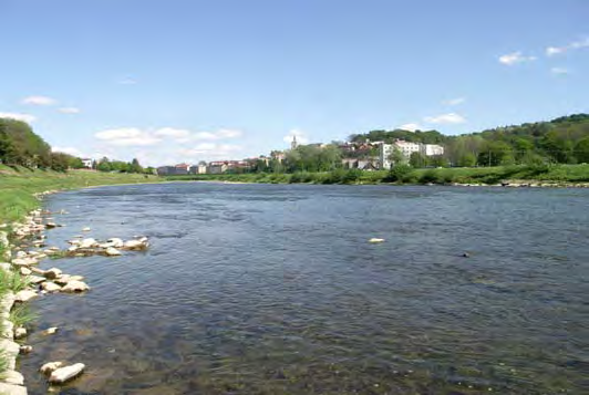 Wody powierzchniowe Ryc. 2.2.2. Rzeka San, źródło wody pitnej dla miasta Przemyśla (w tle), 2008 r. [44] mln m 3 20 18 16 14 12 10 8 6 4 2 0 2006 2007 2008 2009 2010 m.