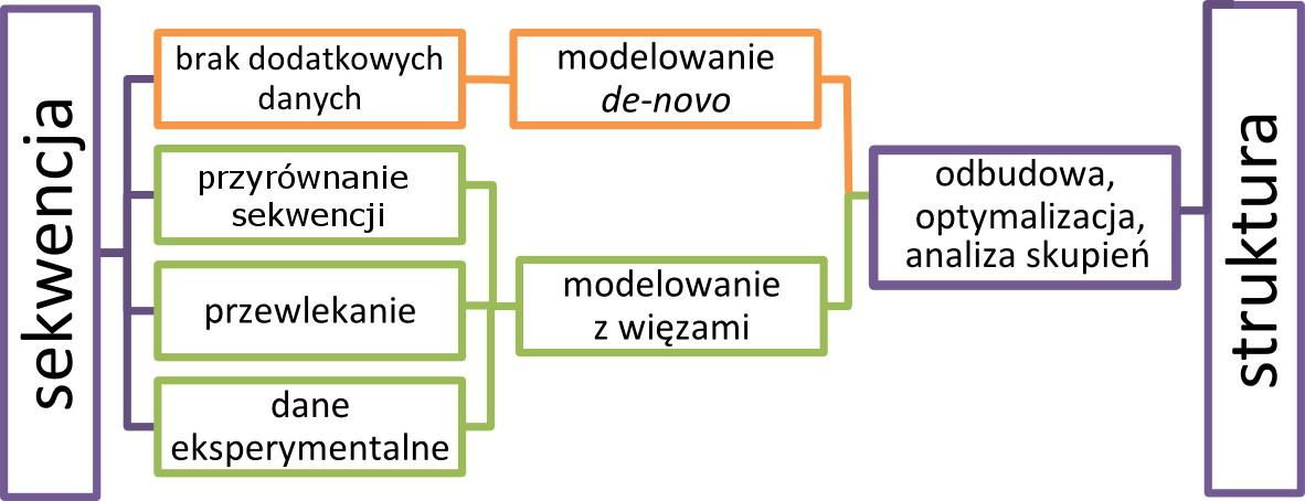 Drugą grupę metod stanowią metody modelowania porównawczego. Opierają się one na obserwacji, że w toku ewolucji struktura przestrzenna białek jest silniej zachowywana niż ich sekwencja aminokwasowa.