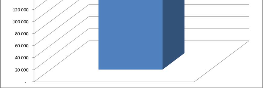 lat w pozostałych przypadkach Średnia stopa zwrotu z inwestycji w Jednostki Uczestnictwa za ostatnie 2 lata obrotowe (2014-2015) wyniosła -2,65% Średnia stopa zwrotu z inwestycji w Jednostki