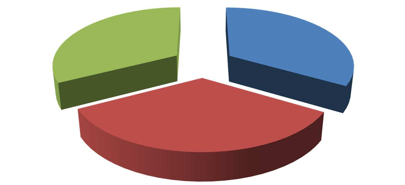 32,6% 33,4% 34,0% linie I kategorii linie II kategorii linie III kategorii Rys. 33. Roczna praca eksploatacyjna Białostockiej Komunikacji Miejskiej z podziałem na kategorie linii w 2013 r.